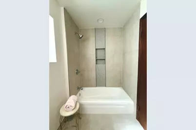 3215 S Lowe Avenue, Chicago, IL 60616 - Photo 27