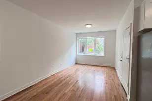 226 W 24th St, Chicago, IL 60616 - Photo 5