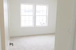 1429 Parliament St, Crete, IL 60417 - Photo 13