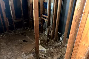 356 Wilshire St, Park Forest, IL 60466 - Photo 11