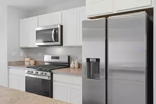 217 Goldenrod Dr, Elgin, IL 60124 - Photo 9