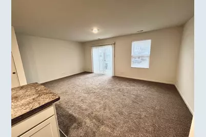 217 Goldenrod Drive, Elgin, IL 60124 - Photo 3