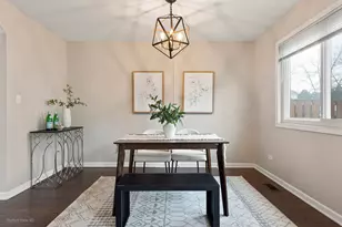 19 Wood Sorrel Pl, Woodridge, IL 60517 - Photo 9