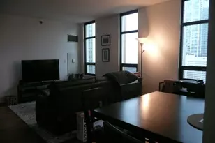 1255 S State St, Chicago, IL 60605 - Photo 9