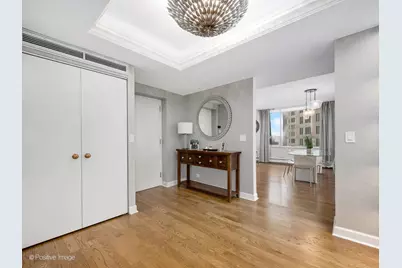1000 N Lake Shore Plaza #39C, Chicago, IL 60611 - Photo 13