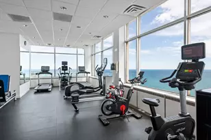 1000 N Lake Shore Plaza, Chicago, IL 60611 - Photo 37