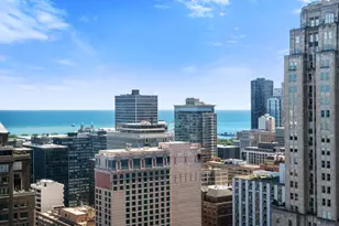 1000 N Lake Shore Plaza, Chicago, IL 60611 - Photo 43