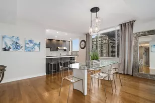 1000 N Lake Shore Plaza, Chicago, IL 60611 - Photo 9