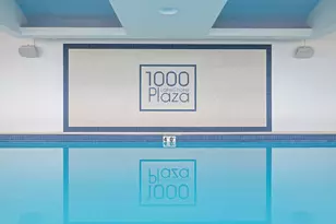 1000 N Lake Shore Plaza, Chicago, IL 60611 - Photo 37