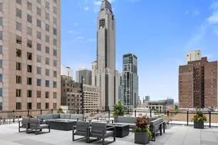 1000 N Lake Shore Plaza, Chicago, IL 60611 - Photo 39