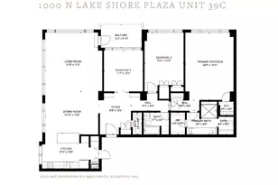 1000 N Lake Shore Plaza, Chicago, IL 60611 - Photo 45