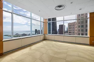 1000 N Lake Shore Plaza, Chicago, IL 60611 - Photo 33