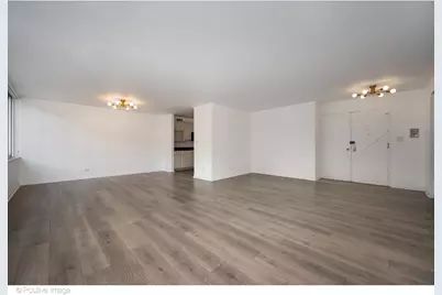 1 E Schiller Street #3C, Chicago, IL 60610 - Photo 5