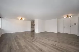 1 E Schiller St, Chicago, IL 60610 - Photo 5