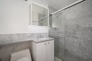 1 E Schiller St, Chicago, IL 60610 - Photo 13