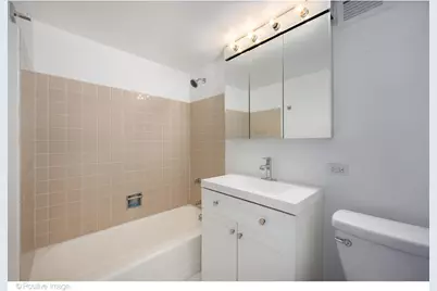 1 E Schiller Street #3C, Chicago, IL 60610 - Photo 15