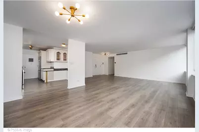 1 E Schiller Street #3C, Chicago, IL 60610 - Photo 7