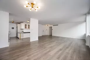 1 E Schiller St, Chicago, IL 60610 - Photo 7