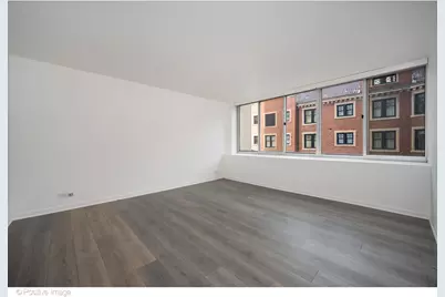 1 E Schiller Street #3C, Chicago, IL 60610 - Photo 11