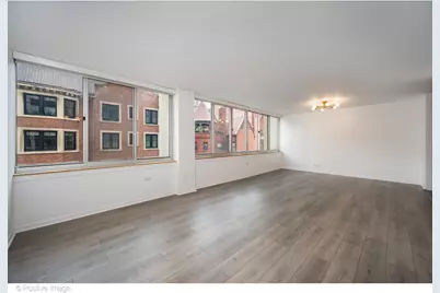 1 E Schiller Street #3C, Chicago, IL 60610 - Photo 3