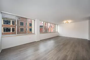 1 E Schiller St, Chicago, IL 60610 - Photo 3