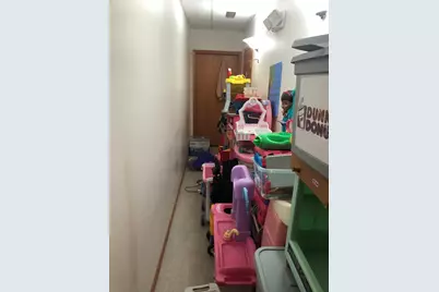 435 W Indiana Avenue, Beecher, IL 60401 - Photo 19