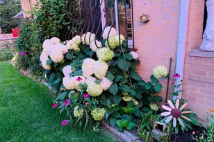 1205 Winston Dr, Melrose Park, IL 60160 - Photo 33