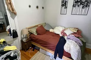 1111 W Grace St, Chicago, IL 60613 - Photo 3