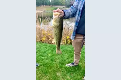 [Address not provided], Woodstock, IL 60098 - Photo 153