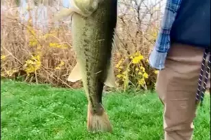 [Address not provided], Woodstock, IL 60098 - Photo 153