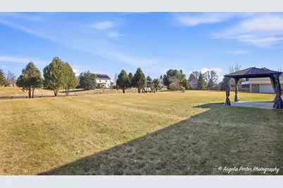 9312 Nicholas Lane, Spring Grove, IL 60081 - Photo 35