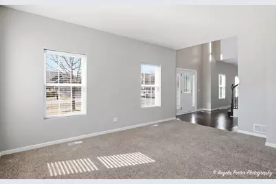 9312 Nicholas Lane, Spring Grove, IL 60081 - Photo 19