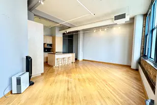 124 W Polk St, Chicago, IL 60605 - Photo 3