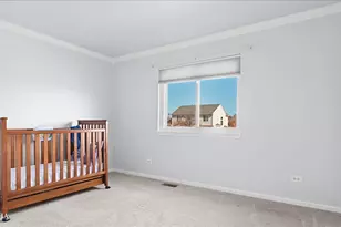 420 Raintree Dr, Oswego, IL 60543 - Photo 33