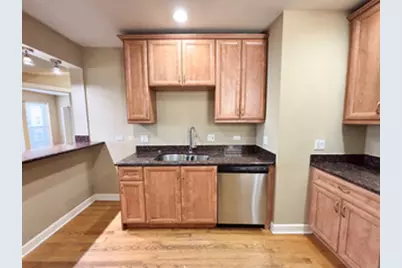 7410 N Damen Avenue #3, Chicago, IL 60645 - Photo 3