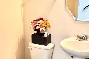 538 Watercress Dr, Aurora, IL 60504 - Photo 17