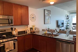 845 N Kingsbury St, Chicago, IL 60610 - Photo 11