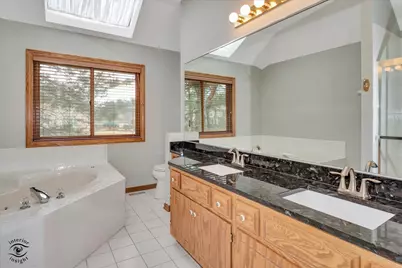 21377 Bramble Drive, Frankfort, IL 60423 - Photo 27