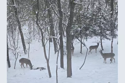 927 Treeline Court, Lockport, IL 60441 - Photo 39