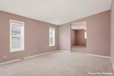 4 Hialeah Court, Grayslake, IL 60030 - Photo 3