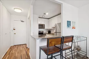 1355 N Sandburg Terrace, Chicago, IL 60610 - Photo 9