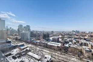 1355 N Sandburg Terrace, Chicago, IL 60610 - Photo 11