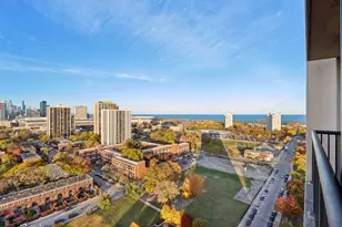 2901 S Michigan Ave, Chicago, IL 60616 - Photo 13