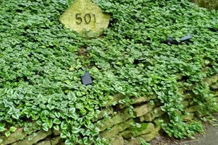 501 Glenwood Trail, Elgin, IL 60120 - Photo 29