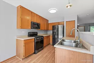 9 Crimson Ct, Lake in the Hills, IL 60156 - Photo 21
