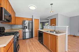 9 Crimson Ct, Lake in the Hills, IL 60156 - Photo 3