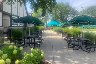 3027 Brossman St, Naperville, IL 60564 - Photo 39