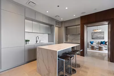 800 N Michigan Avenue #2102, Chicago, IL 60611 - Photo 11