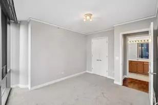 450 E Waterside Dr, Chicago, IL 60601 - Photo 21