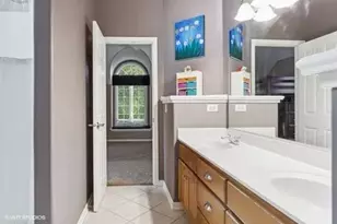 3179 Kingbird Ln, Naperville, IL 60564 - Photo 29